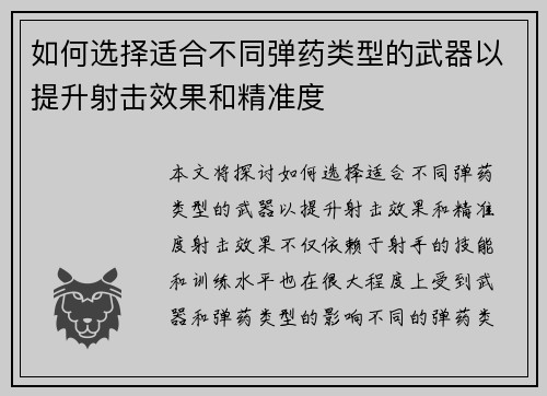 如何选择适合不同弹药类型的武器以提升射击效果和精准度